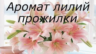 Ирландское кружево Мастер классы по вязанию ирландского кружева
