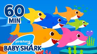 Baby Shark Doo Doo Doo 1 hour | +Compilation | Songs for Kids 