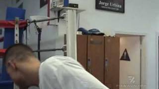 boxing: Julio Cesar Chavez Jr. vs. troy Rowland