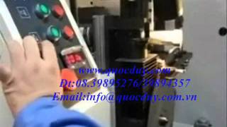 QUỐC DUY -máy mài dao đa năng . www.quocduy.com.vn ; ĐT: 08 39895276