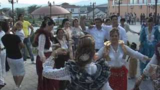 erdzan bijav 2011
