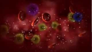How T Cells Work
