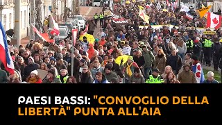 Paesi Bassi: "Convoglio della libertà" punta all'Aia