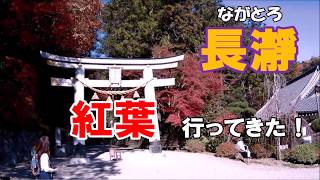 【宝登山】 秩父長瀞 紅葉 埼玉観光