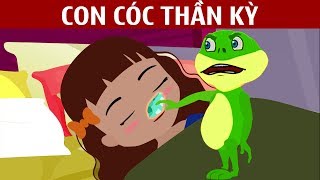 Con Cóc Thần Kỳ | Truyện Cổ Tích Việt Nam || Chuyen Co Tich