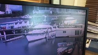Australian Whale Watching Vessel Loses Control at Dock