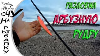Разловил Арбузную Рудру | Распаковка и рыбалка на RUDRA от Bearking