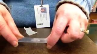 Making onion skin wet mount slide
