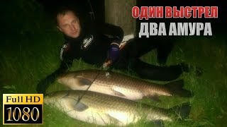 Один Выстрел Два Амура, Супер Видео, Стоит Увидеть!
