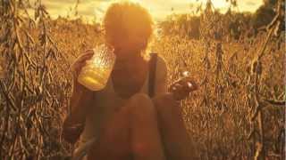 Baby Alpaca - Vodka Lemonade