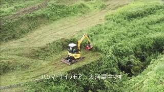 草刈り（ヤンマーバックホウとハンマーナイフモア）