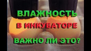 ВЛАЖНОСТЬ В ИНКУБАТОРЕ | секреты инкубации