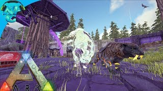 S1E20 Active Camo Invisible Direwolf and the Elemental Sabertooth! ARK: Future Evolved PVP