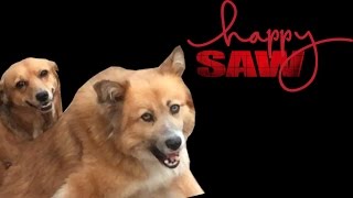 HappySaw Dog Sex Meme