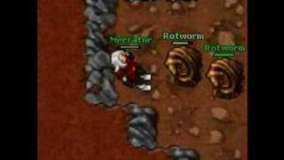 Mercator Dla ~Tibia.pl~ [ Poradnik "Jak trenowac" ]