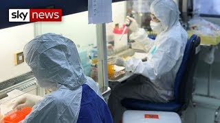Coronavirus: The team hunting for a cure