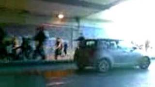 Batsoi, gourounia, dolofonoi, lol - December 08, 2008, 12:47 AM