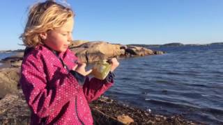 Plastic soep-surfer met handtekeningen naar Den Haag