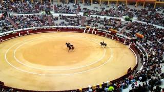 Paseillo Plaza de Toros de Santamaría. Bogotá 29 enero 2017