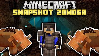 Minecraft Nether Update 1.16 - Snapshot 20w06 - Les biomes et la netherite