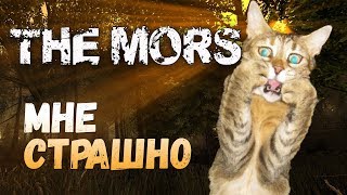 THE MORS - КОШАЧИЙ ИСПУГ
