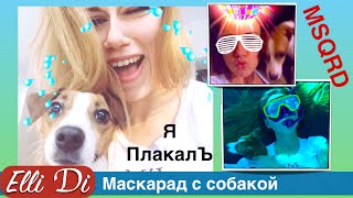 Приложение MSQRD. Приколы с собаками Elli Di. Маскарад | masquerade.