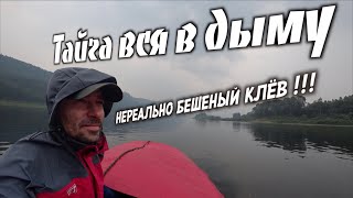 //Красноярский дым нам нипочём//НЕРЕАЛЬНО БЕШЕНЫЙ КЛЁВ//ТАЙДОН//