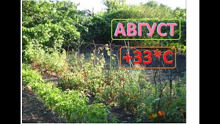 АВГУСТ солнце и ветер всё сохнет