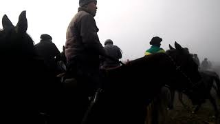 Uchqo‘rg‘on tumani uloq 2018