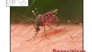 Parasitism