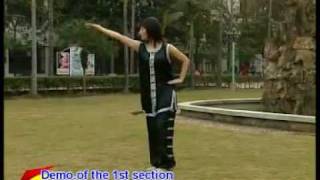 [Kung Fu] Стиль змеи Шэсинцюань (蛇風格). part 3