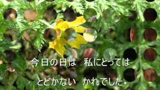 ともだち（吉田拓郎　カバー）弾き語り(侘び介)