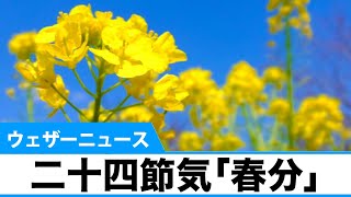 今日は二十四節気「春分」