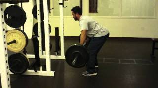 Barbell Bent Over Row
