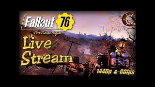 Fallout 76 with my bro on (PS4)