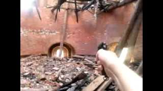 сигнальный наган мр 313