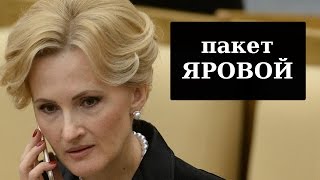 Дмитрий ПОТАПЕНКО - Пакет Яровой. Что нас всех ждёт?