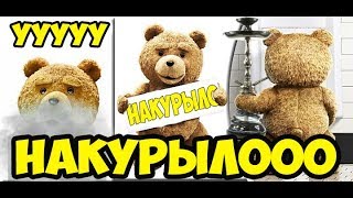 НАКУРЫЛО | Кальян | Медведь курит кальян   ( Сергей Князевич )