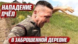 Нападение пчел.
