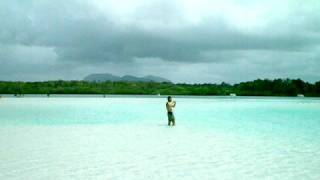 Mauritius - Isola dei cervi