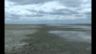 Кадры из фильма "Истоки Амура"