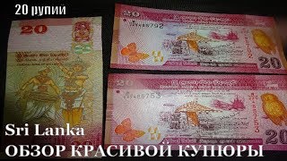 Красивейшая банкнота 20 рупий Шри Ланка ОБЗОР