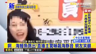 最新》啊...海鰻魚跳出！直播主驚嚇飆海豚音 網友笑翻