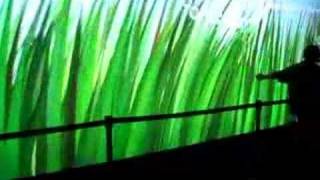 nextfest interactive video wall