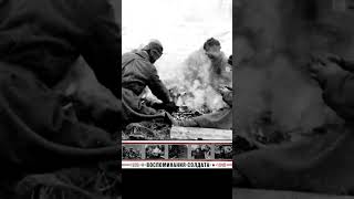 Чем питались советские солдаты зимой 1942 года под Ленинградом
