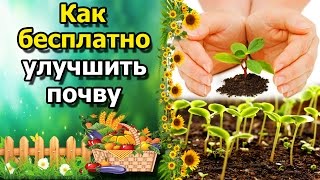 ☘Как  бесплатно улучшить(обогатить) почву. Доступное органическое удобрение для огорода.