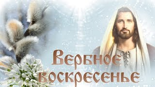 Поздравление с Вербным воскресеньем. Красивая видео открытка