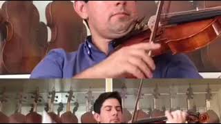 Violino Stradivarius Copy-Oliveira Musical