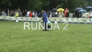 DUSIA I KOLIN