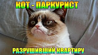 КОТ - ПАРКУРИСТ , РАЗРУШИВШИЙ КВАРТИРУ (Purrkour) [CRAZY- Games]